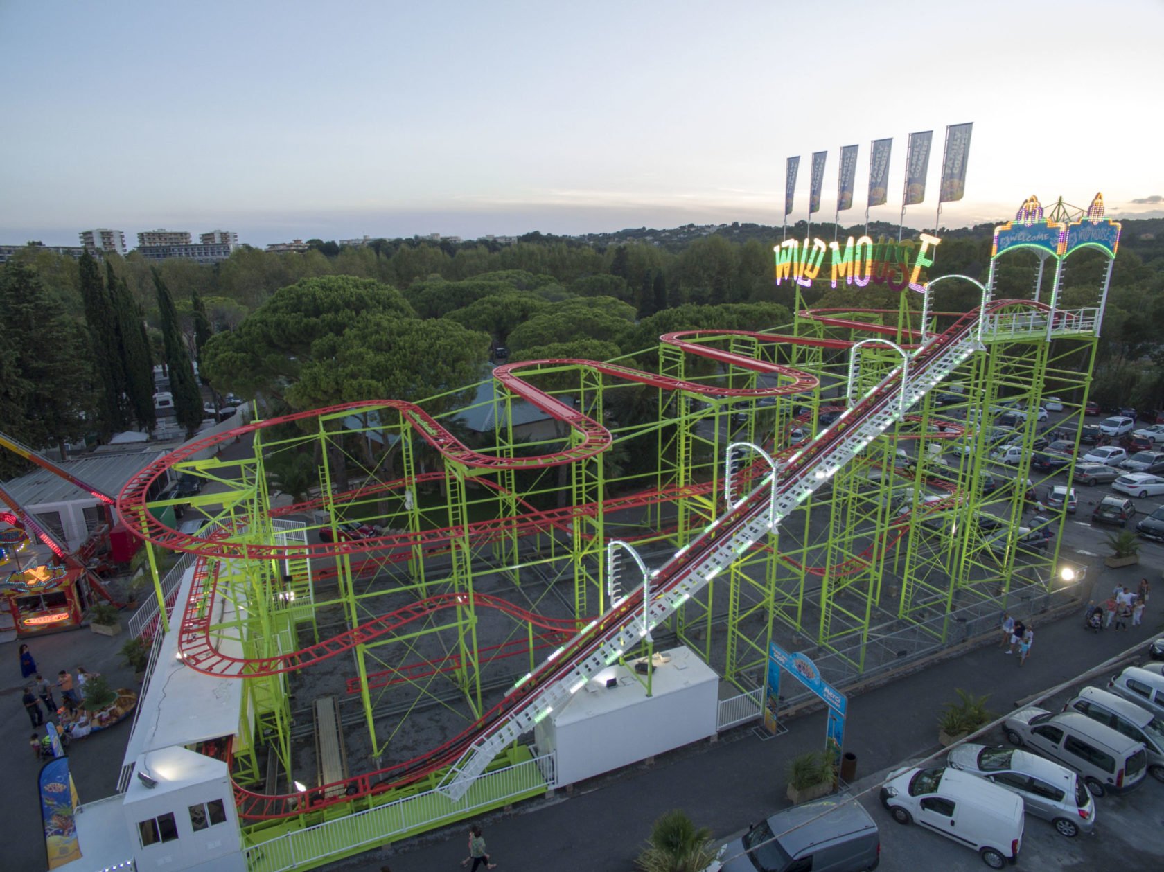Wild Mouse