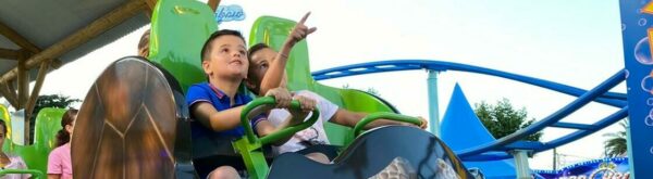 Turtle coaster