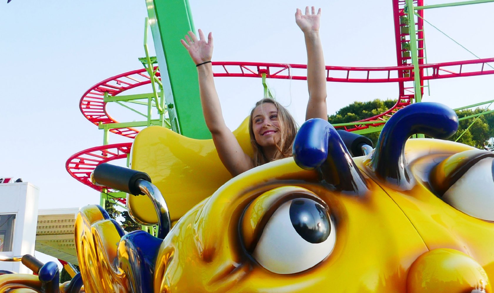 Crazy Bees