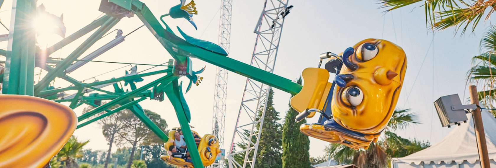 Crazy Bees