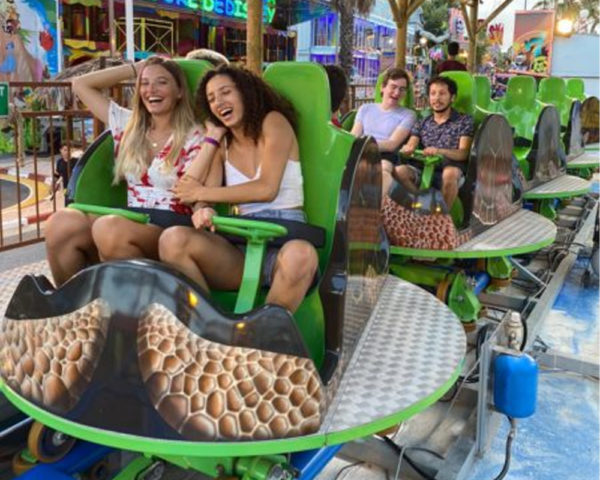 Turtle coaster